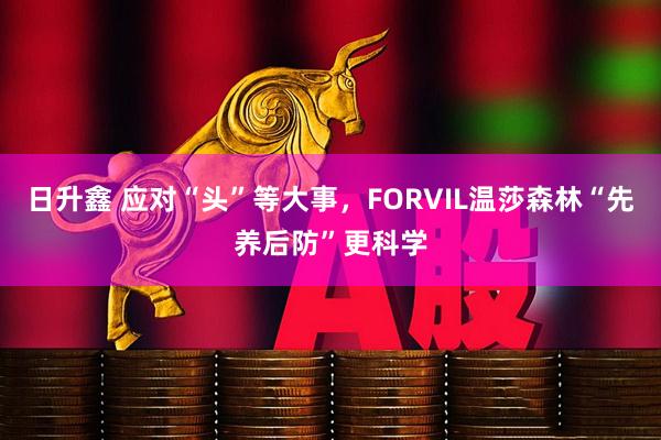 日升鑫 应对“头”等大事，FORVIL温莎森林“先养后防”更科学