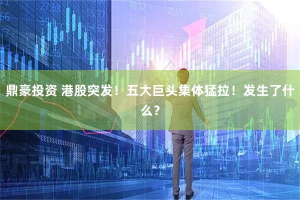 鼎豪投资 港股突发！五大巨头集体猛拉！发生了什么？